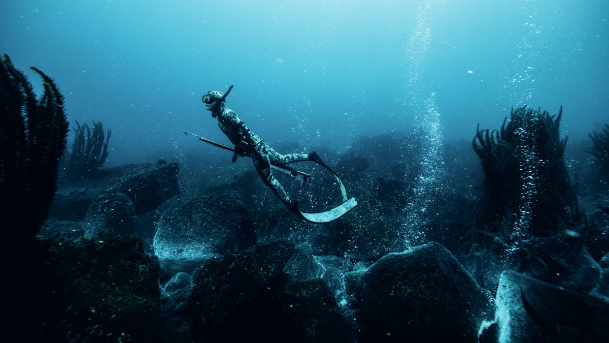 How Free Diver and Cookbook Author Kimi Werner Found Comfort in the Depths