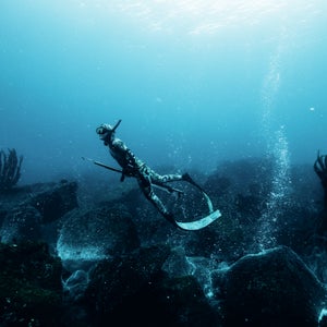 Kimi Werner freediving with a spear gun.