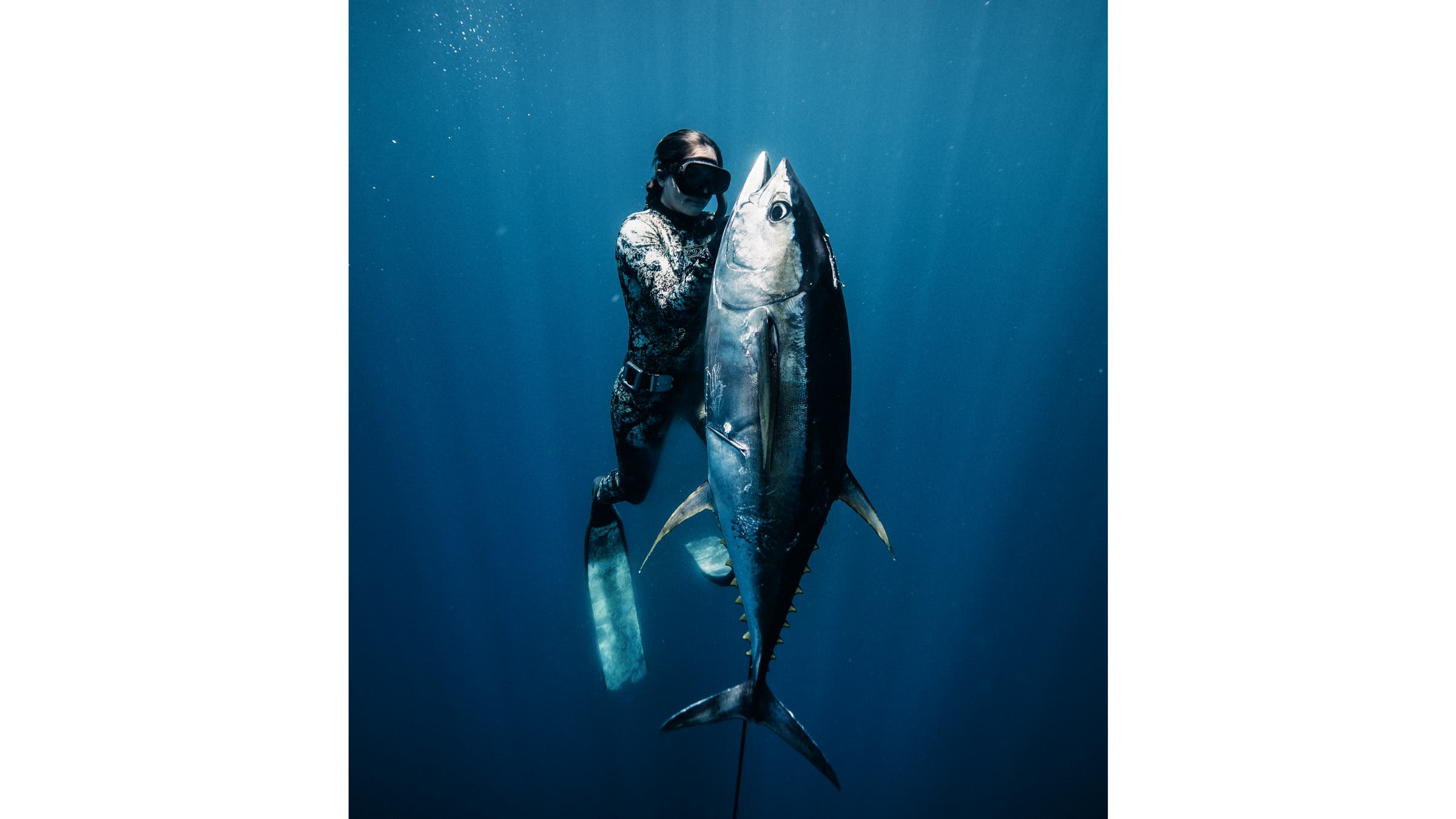 Kimi Werner swimming upwards in open water with a tuna.
