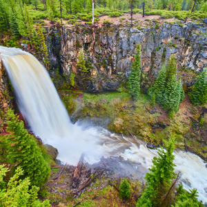Tumalo Falls in Oregon rushing through pine forests