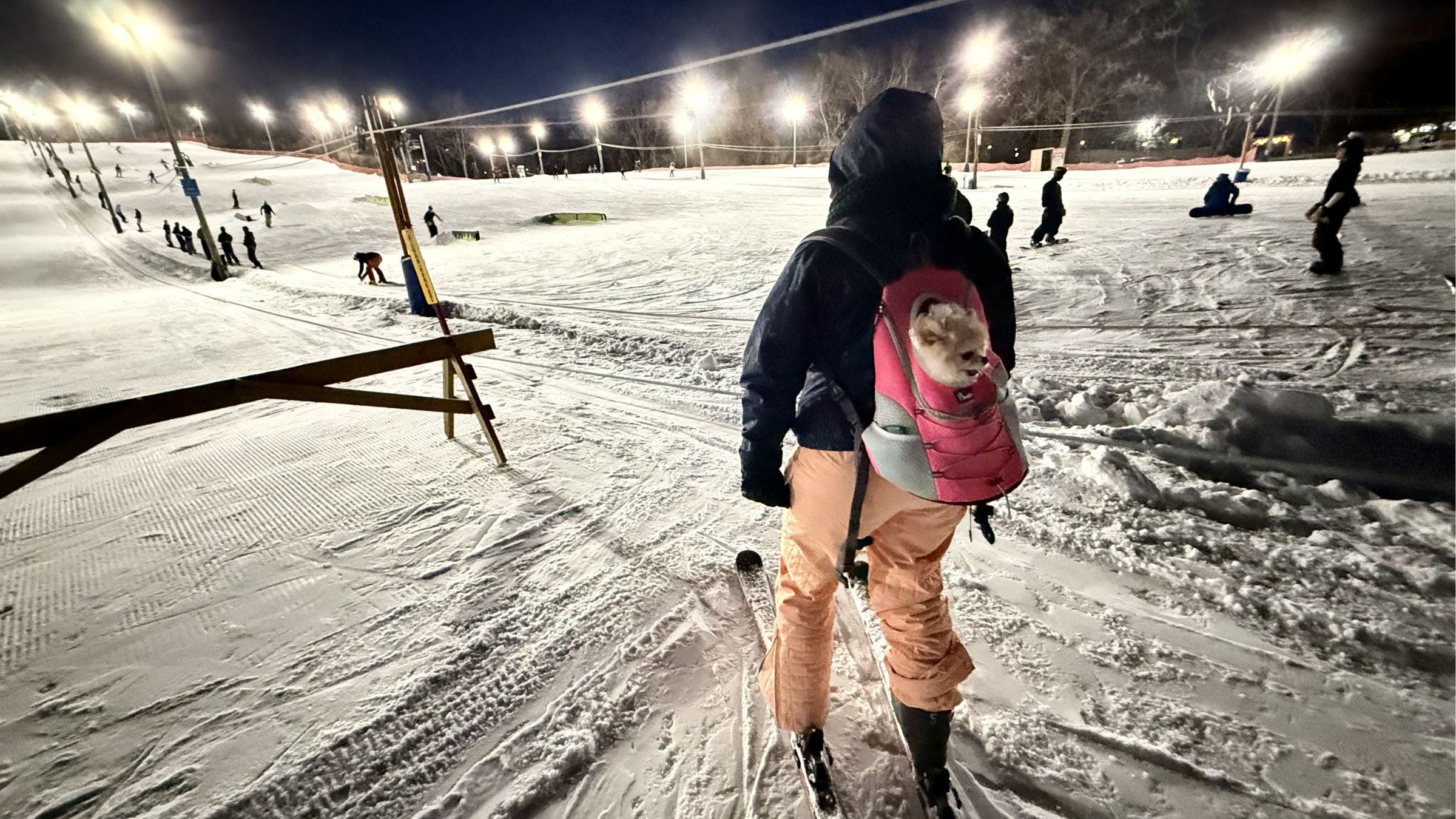 The skier and her very good dog