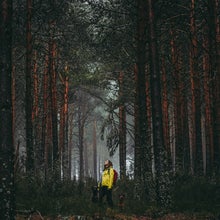 woman standing in yellow jacket in woods