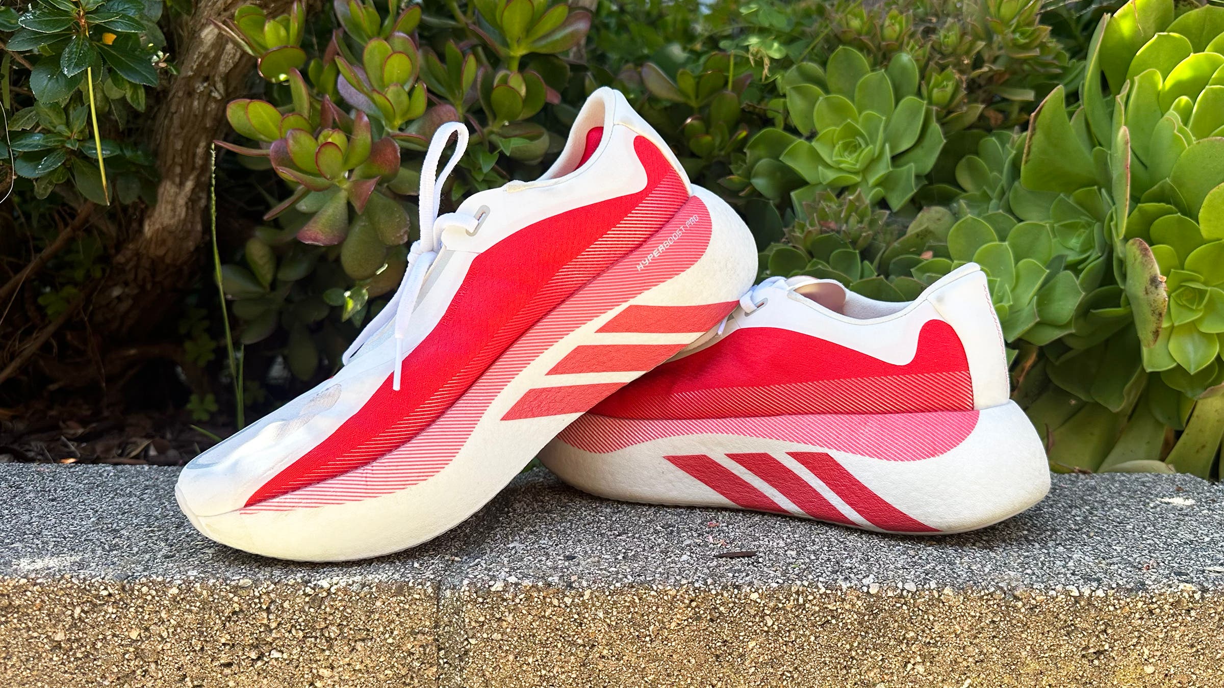 Adidas Hyberboost Edge marathon running shoes