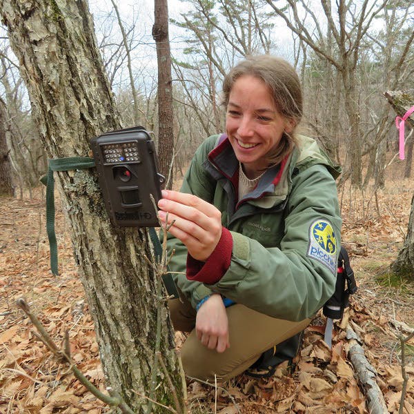 A wildlife biologist mounts a camera