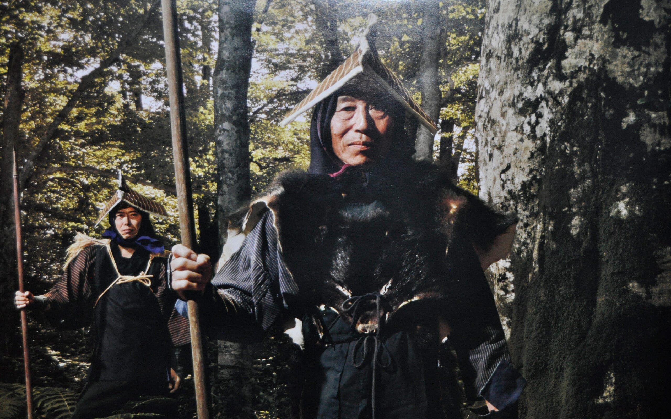 Japan Is Fighting a War Against Bears. The Bears Are Winning.