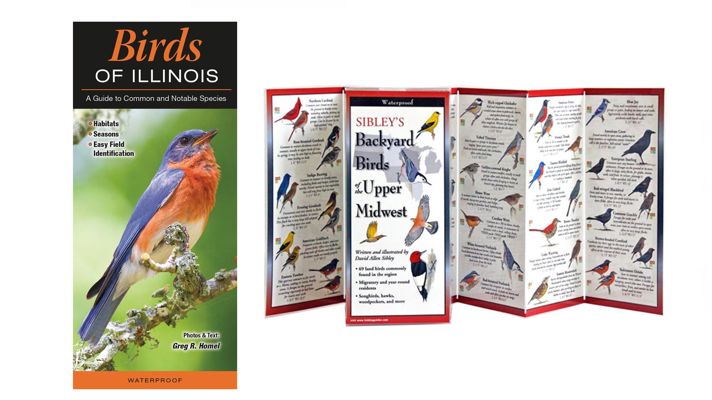 Birds of Illinois Guidebook by Greg R. Homel and Sibley’s Backyard Birds Guidebook birding field guides