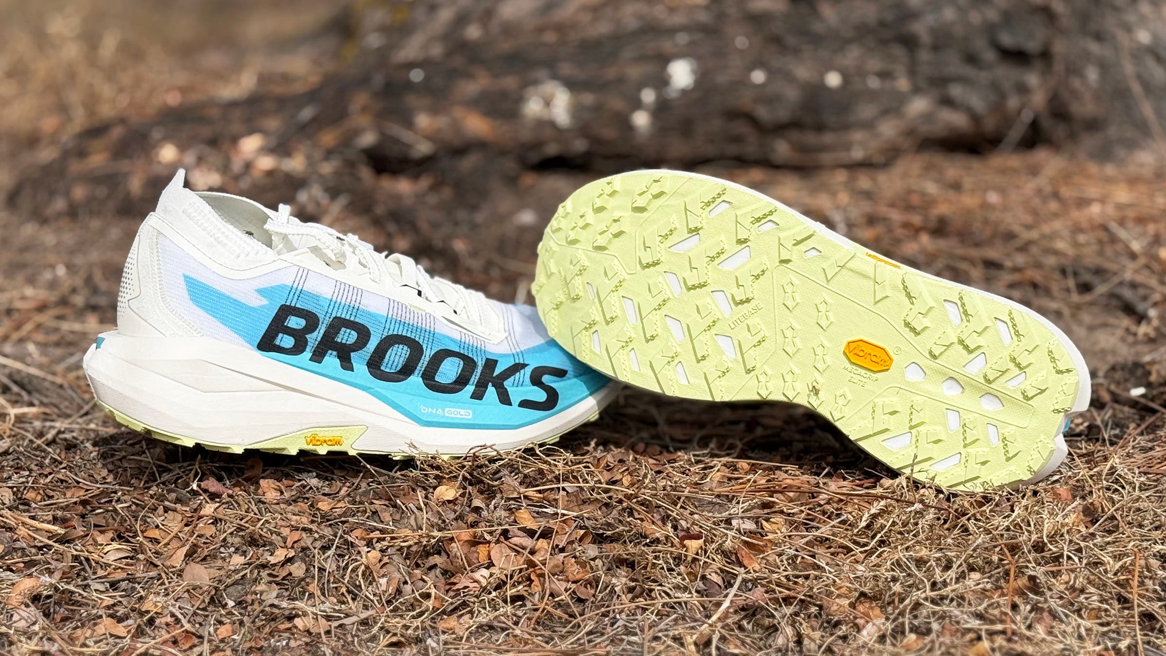 Brooks Cascadia Elite trail running shoe
