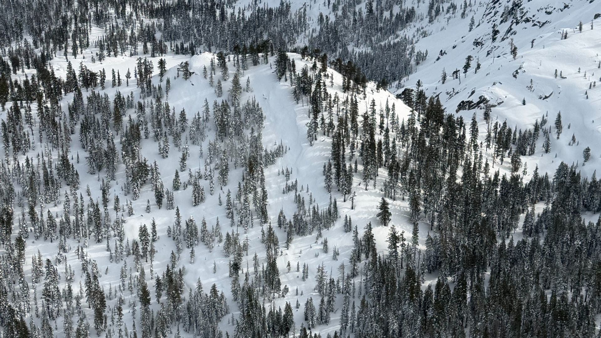 This is the slope where the avalanche occurred, taken three days later. By that time, the storm had covered up any signs of avalanche or its debris.