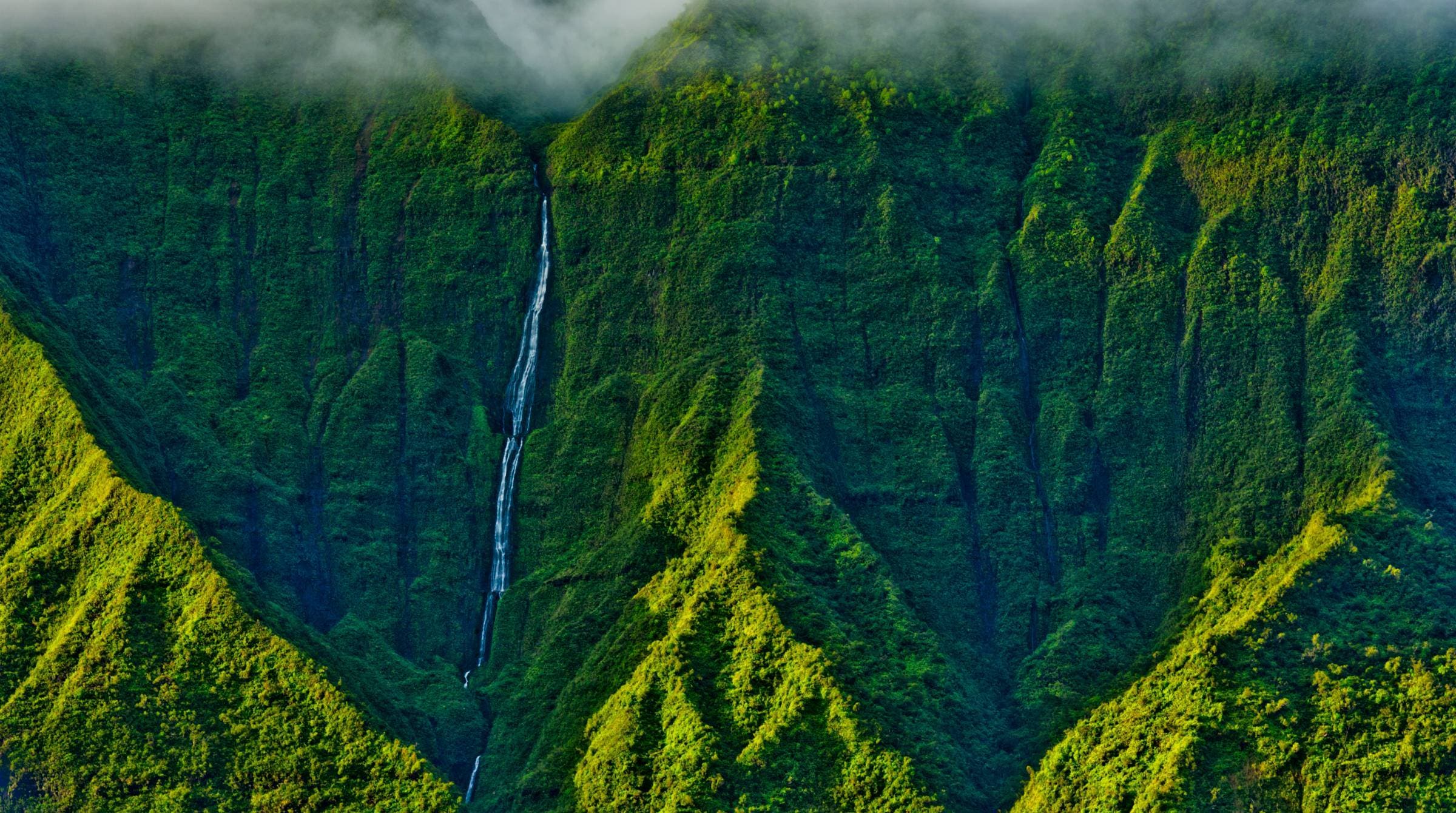 Rain forest on mountains surrounding Hanalei Valley on Kauai