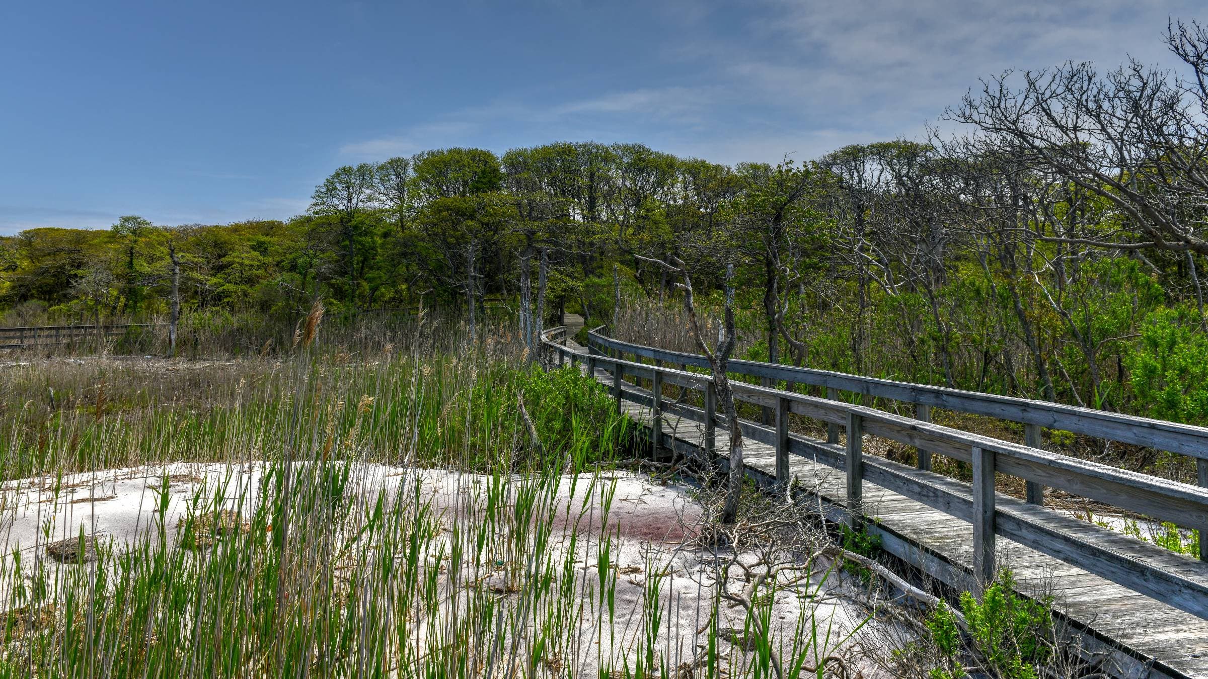 The Best National Park Escapes Hiding Just Outside America’s Biggest Cities