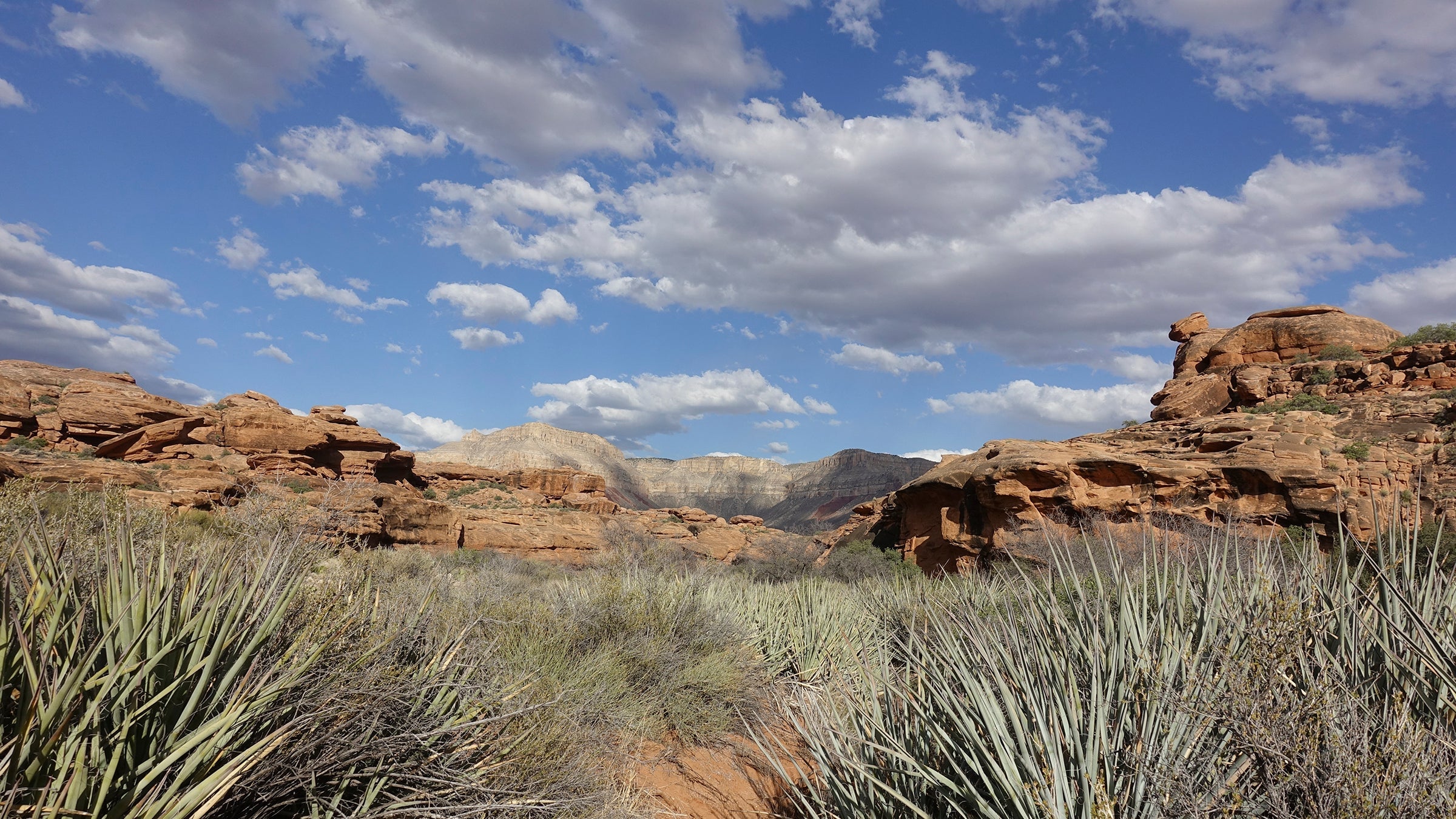 Hack Canyon portal to Grand Canyon