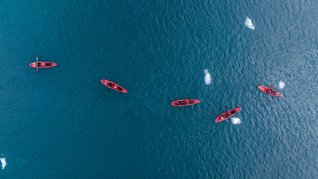 A 3,000-Pound Walrus Capsized My Kayak in the Arctic. Here's How I Survived.