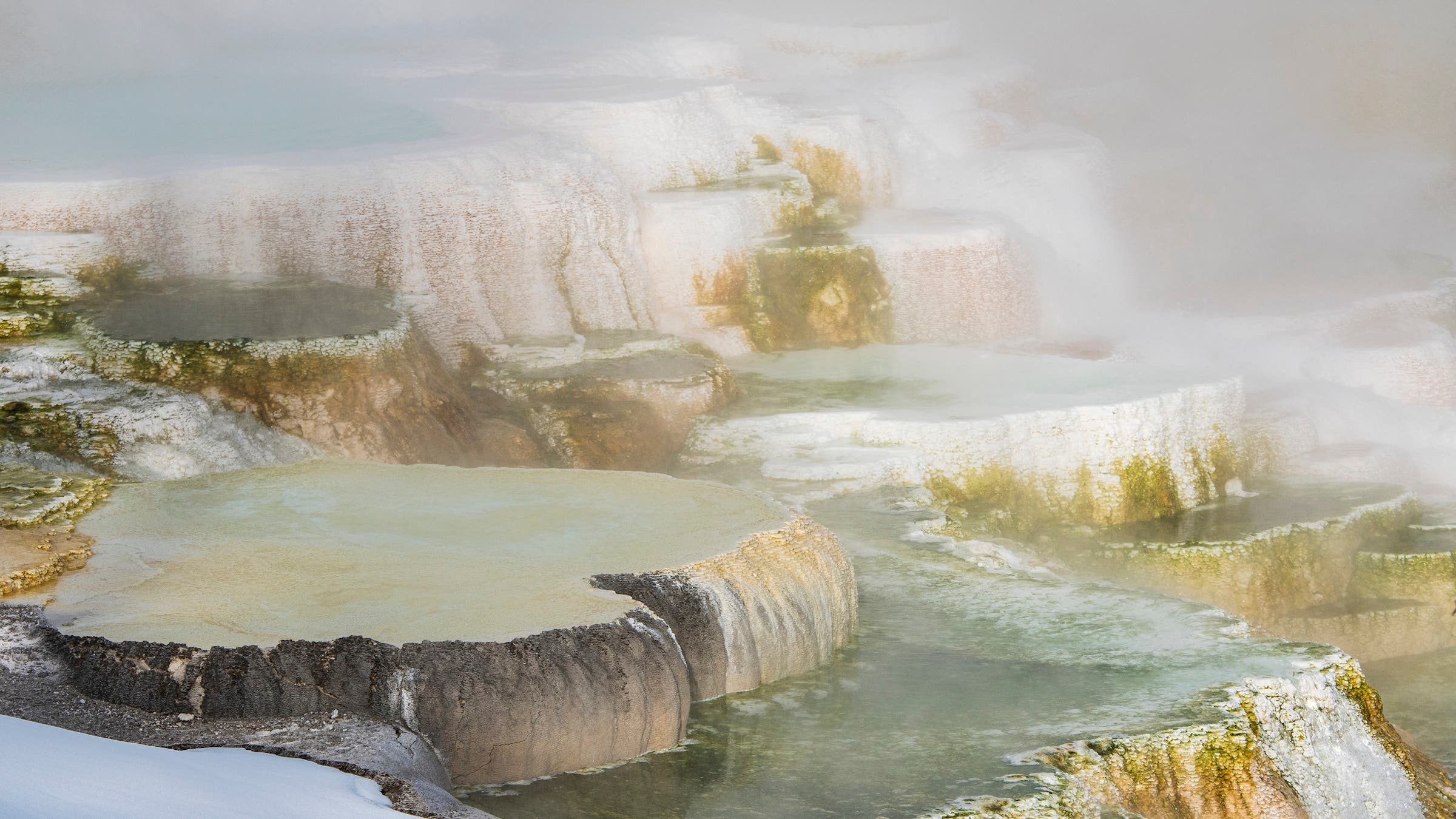 wide view of the white and orange travertine terraces at Mammoth Hot Springs in Yellowstone National Park, showing the fragile calcium carbonate formations.