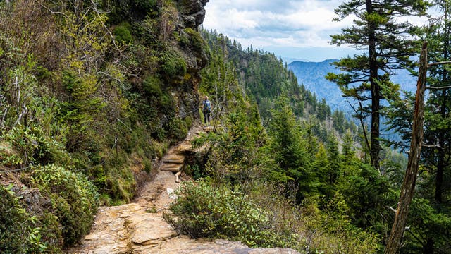 Alum Cave Trail Is a Social Media Darling. It’s Also Deceptively Deadly.