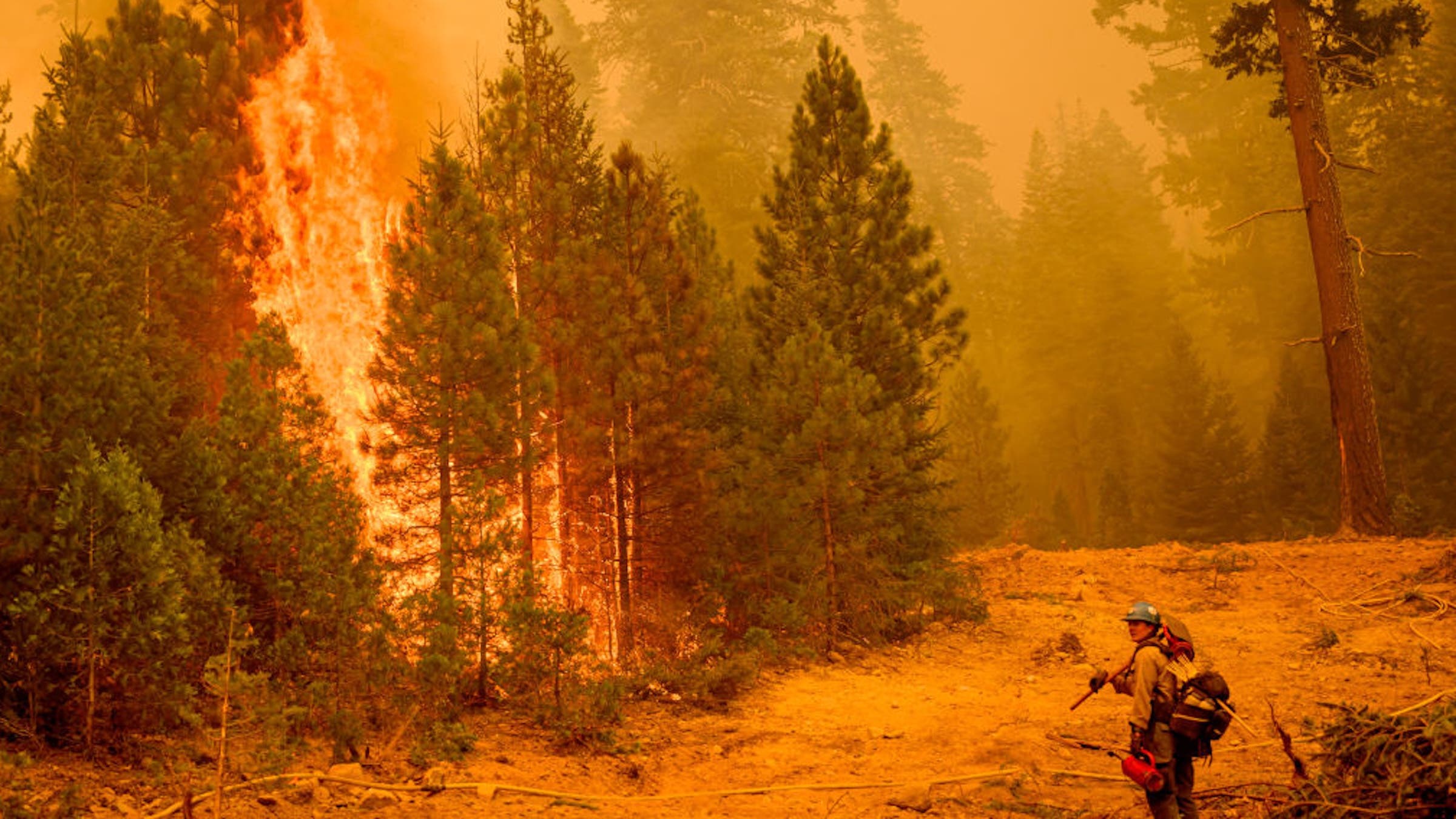 A U.S. Forest Service firefighter monitors backfire during the Park fire in Tehama County's Mill Creek area of California in 2024
