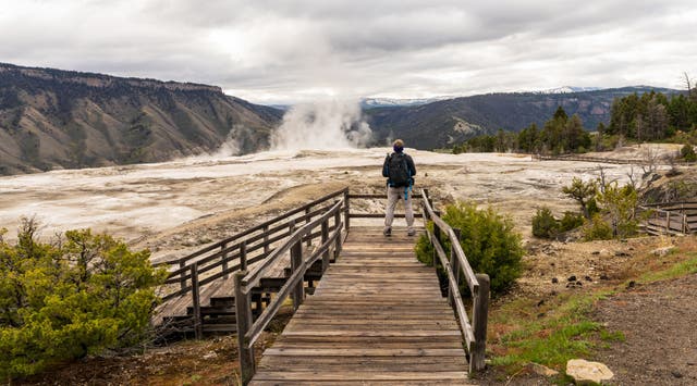 Walk on a Yellowstone Hot Spring, Go to Jail. A Texas Man Just Learned This the Hard Way.