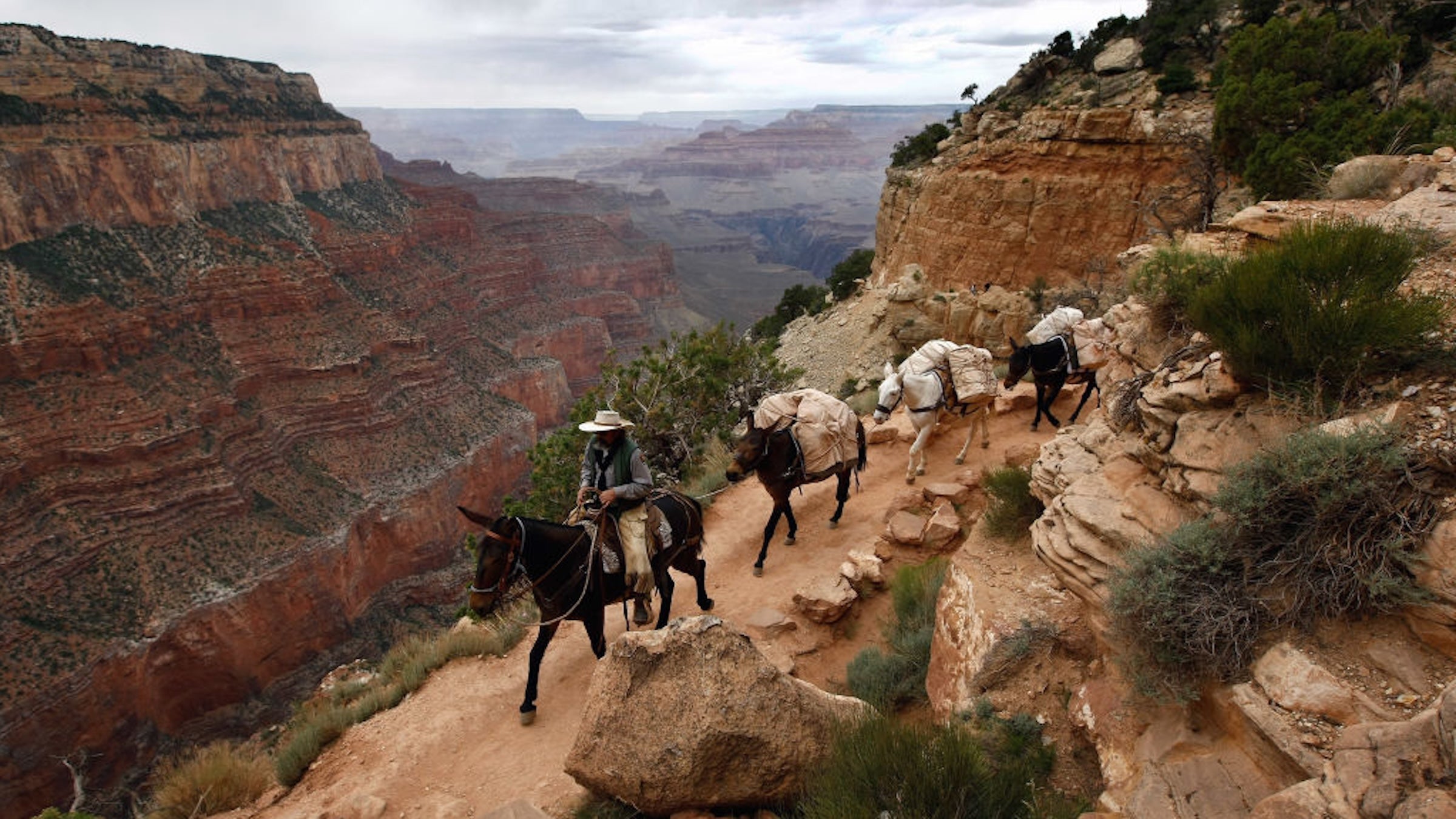 Photo shows an nps packer riding mules through the grand canyon. budget cuts are proposed for the nps in 2027. In 2026, NPS is bracing for more budget cuts