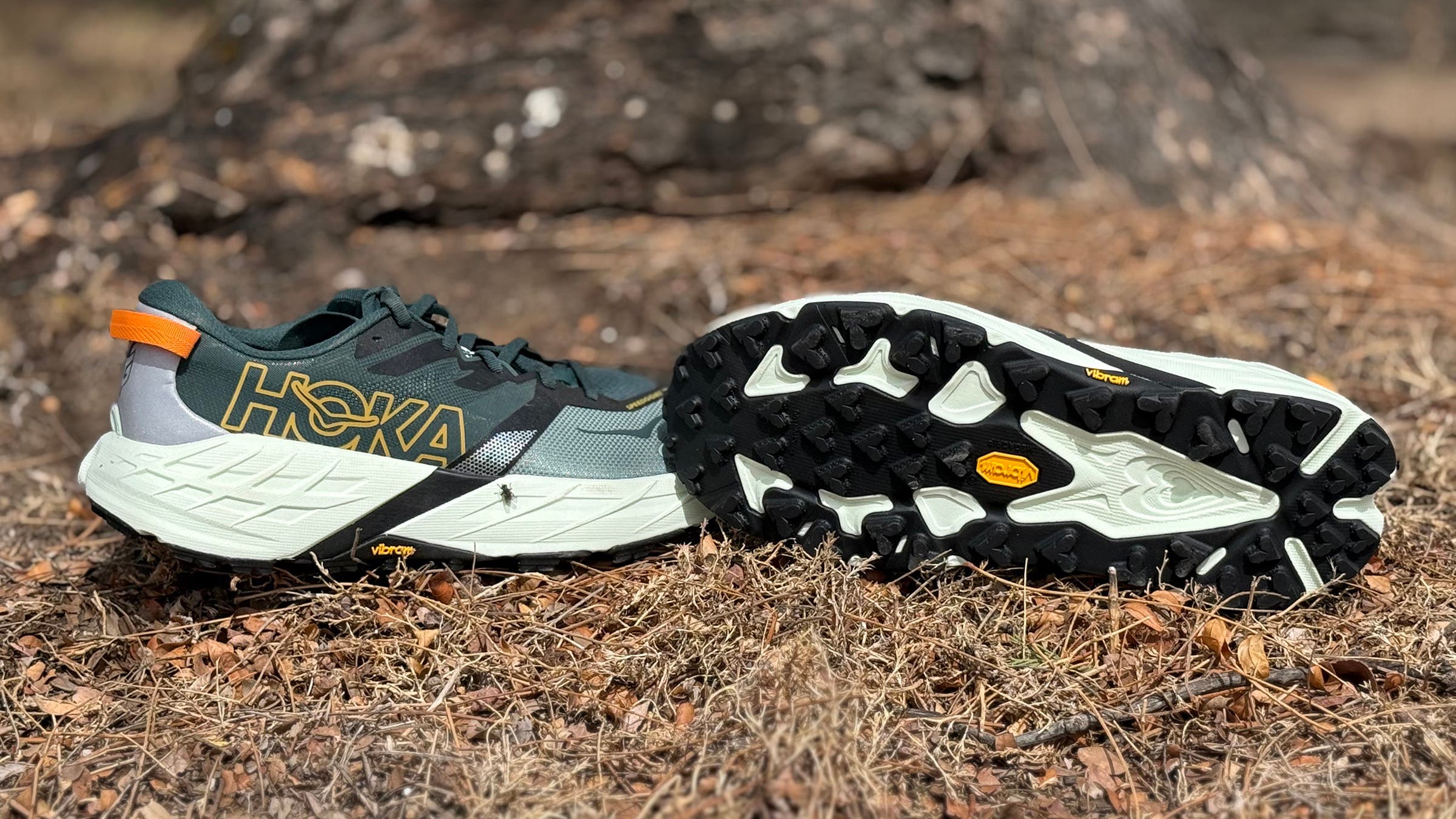 Hoka Speedgoat 7 trail running shoe