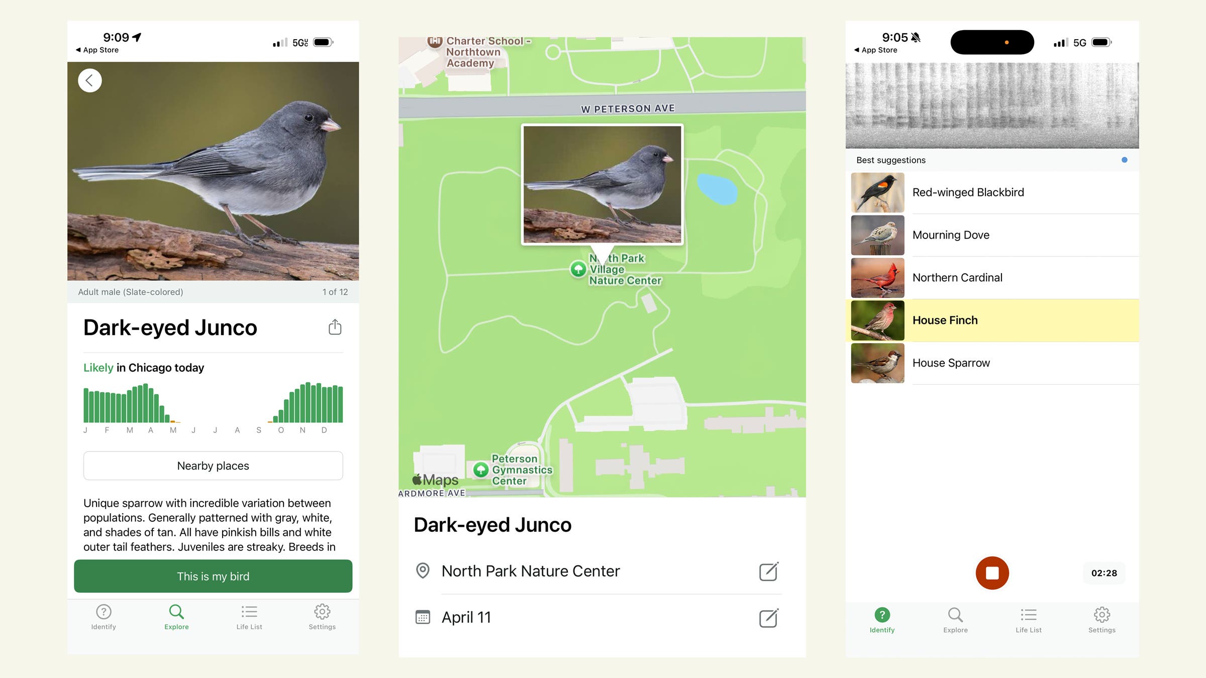 Screenshots of Merlin ID bird app
