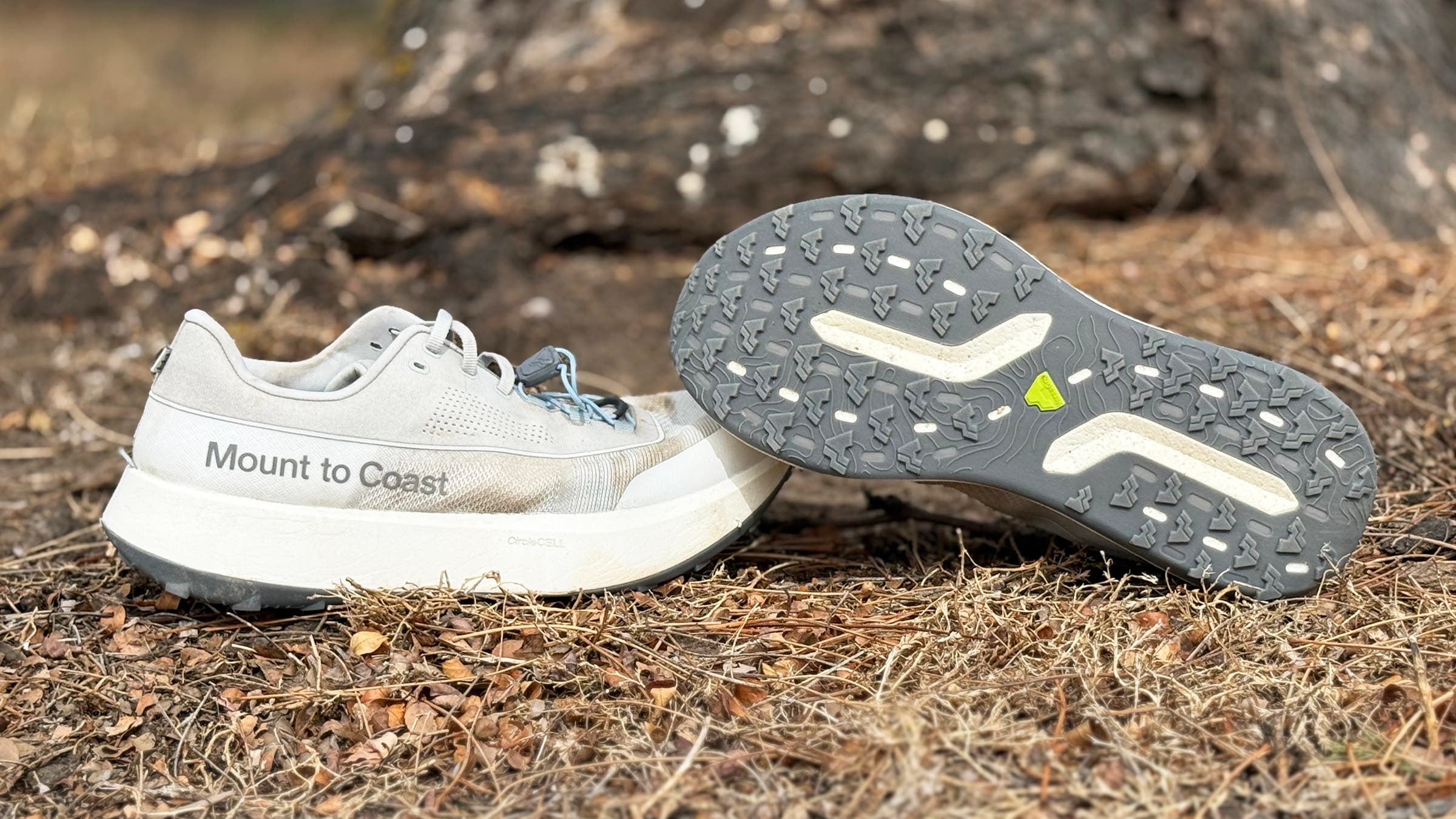 The Best Trail Shoes for Spring and Summer Running (2026)