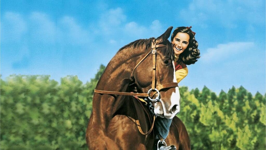The 13 Best Horse Movies and TV Shows to Stream After the Kentucky Derby