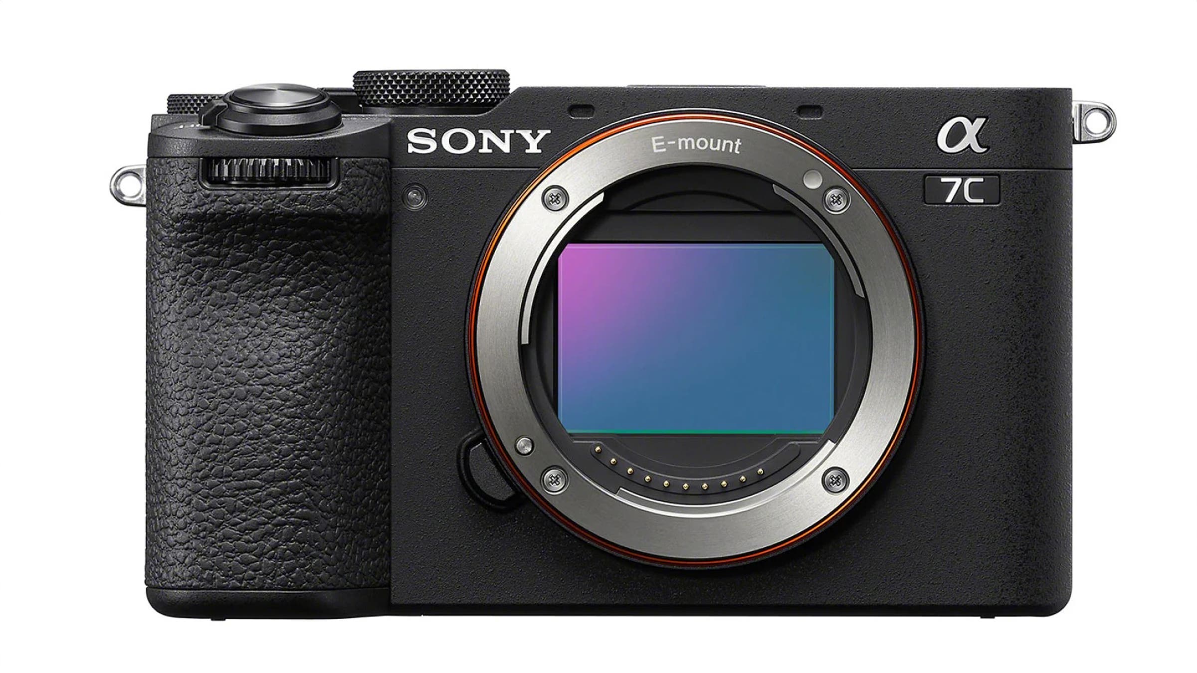 Sony Alpha 7C II birding camera for bird photography