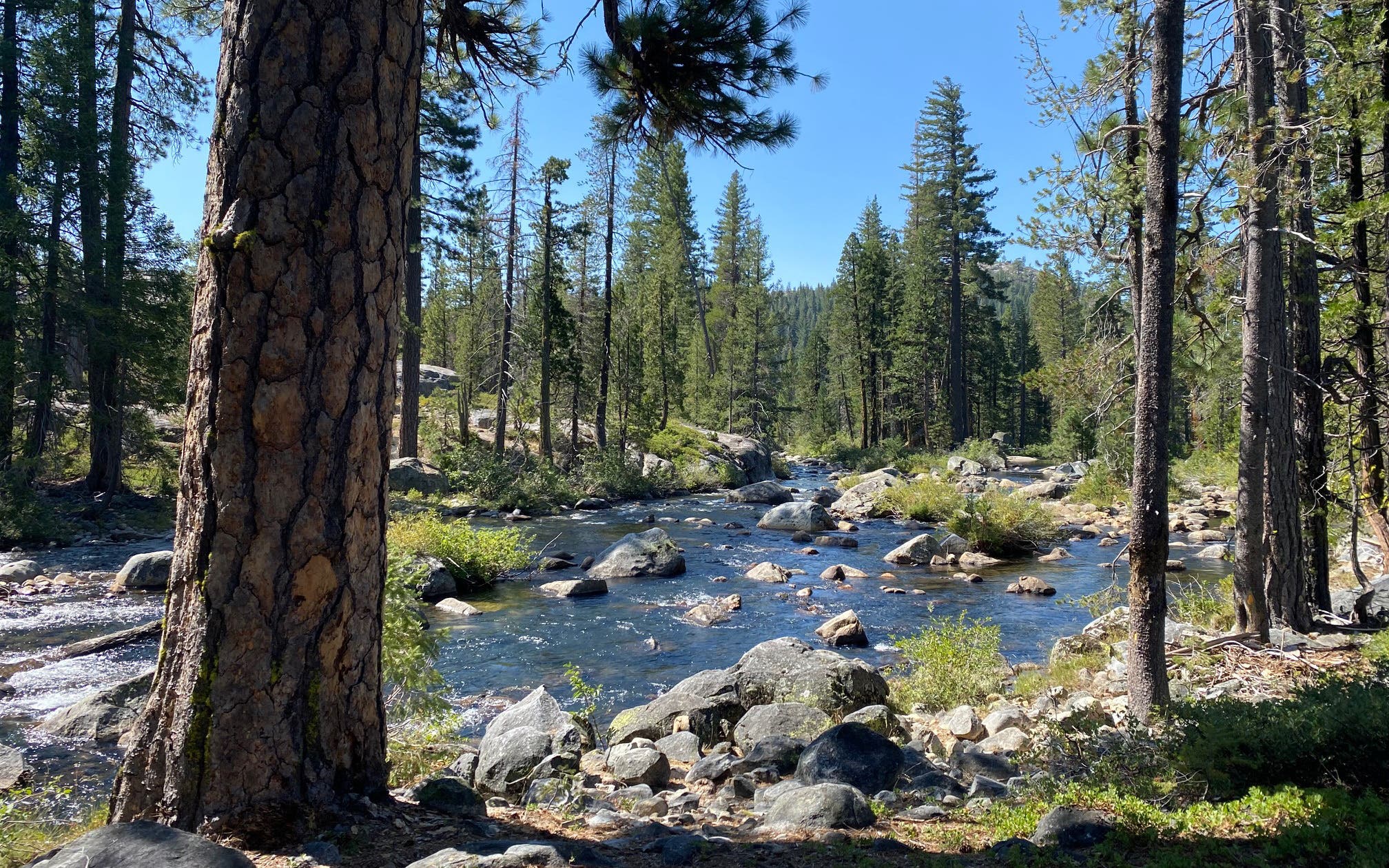 8 Victories That Give Hope in the Fight to Protect Public Lands