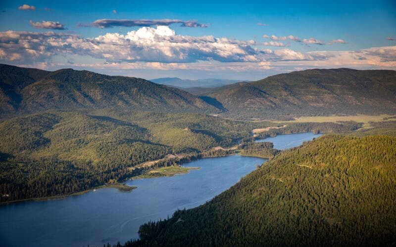 An aerial view of a protected forest in Montana