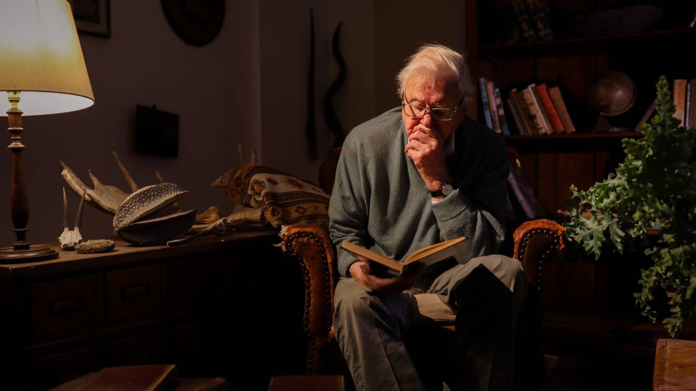 Sir David Attenborough in A Gorilla Story