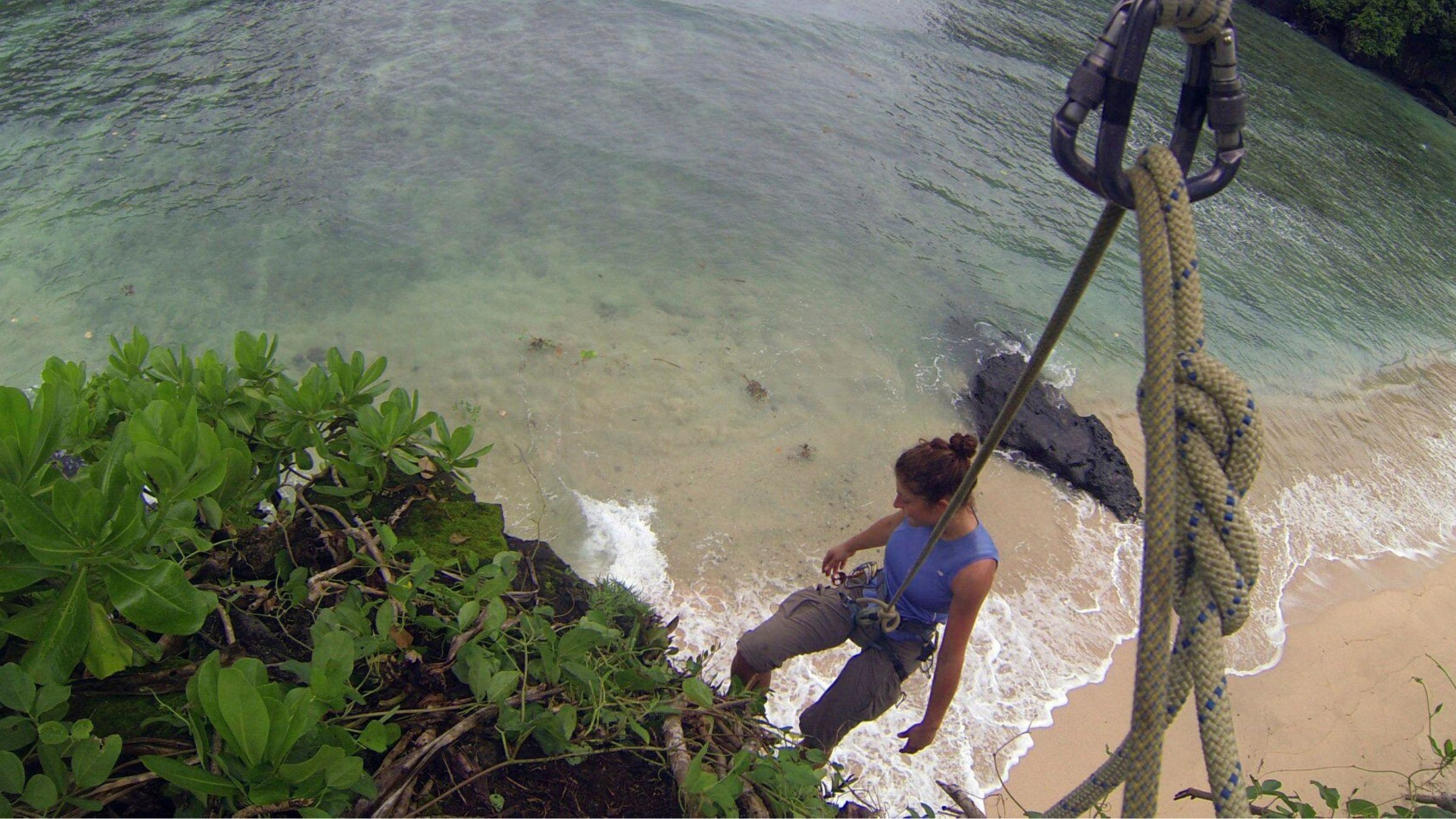 Koch rock climbing above beach