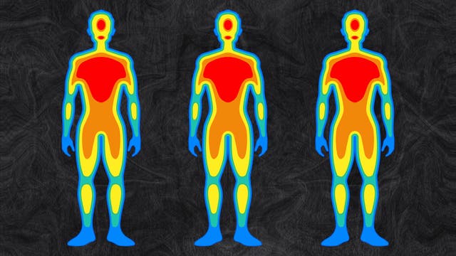Why Are We So Obsessed with Living Longer?