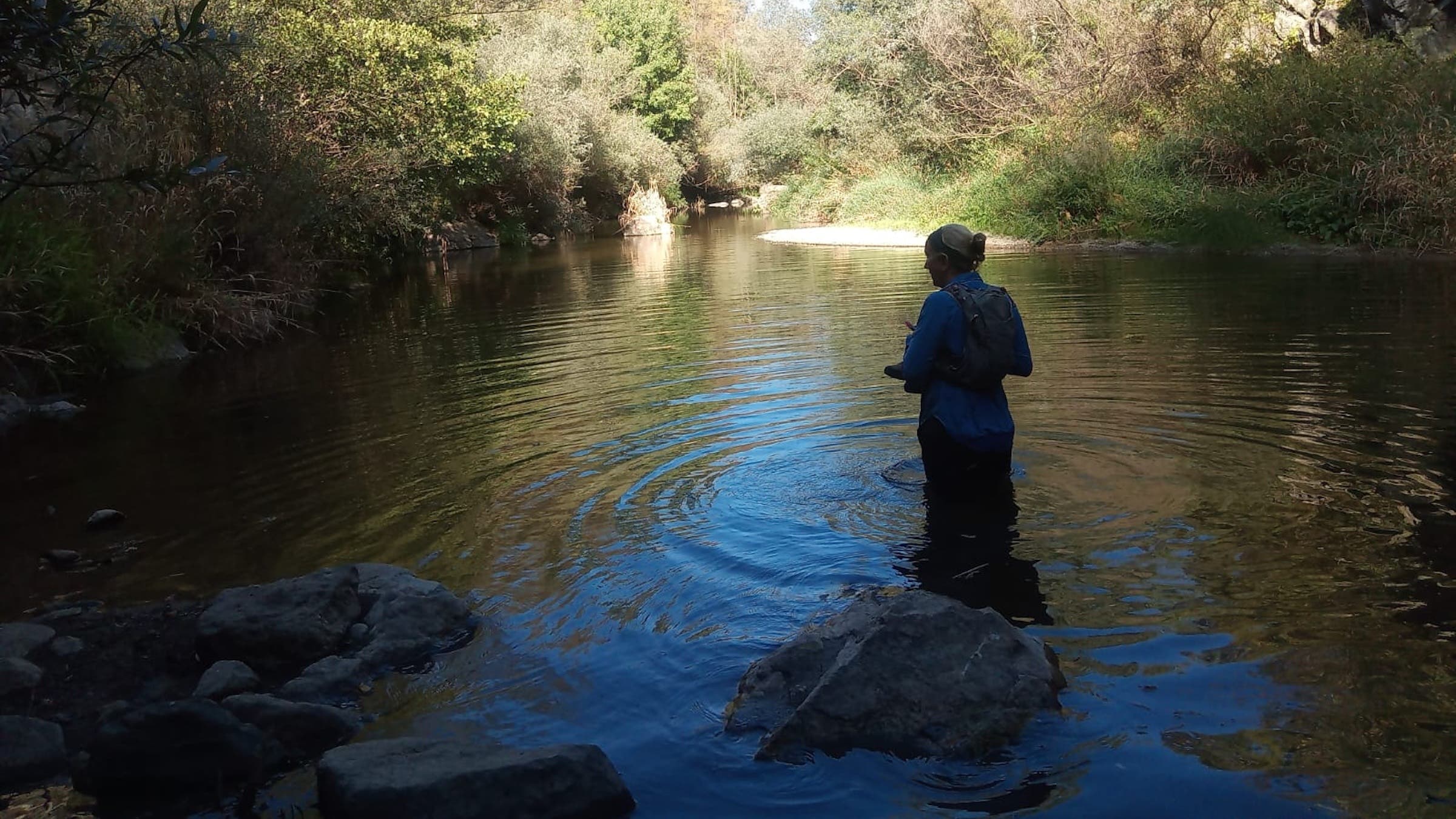 a woman stands in a river up to her knees