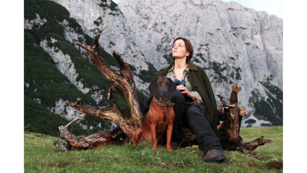 When Does 'Alone' Season 13 Start? The Best Survival Podcasts, Albums, and Films While You Wait.