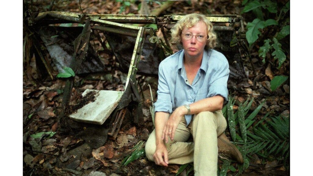 When Does 'Alone' Season 13 Start? The Best Survival Podcasts, Albums, and Films While You Wait.