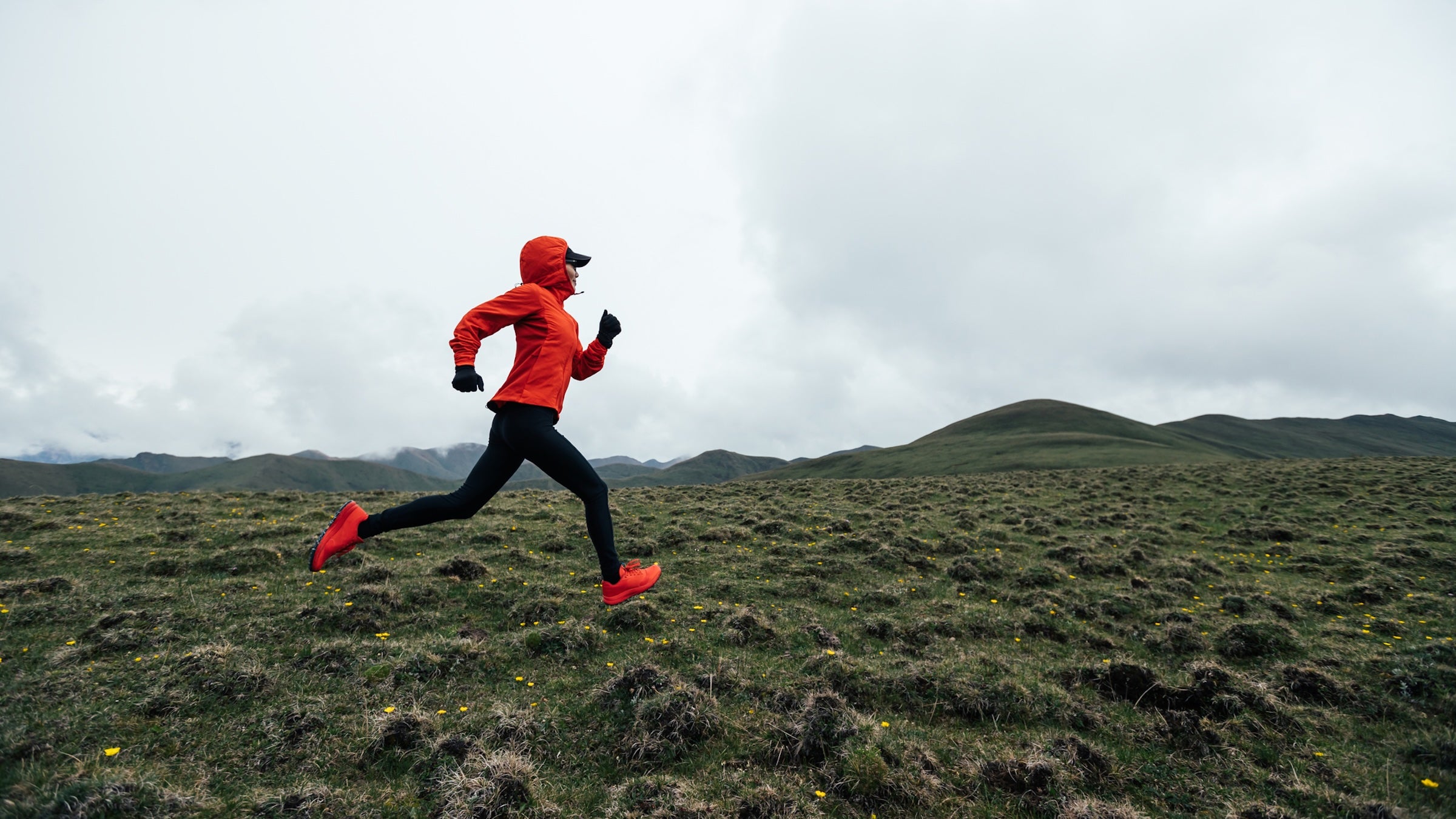 is ghk-cu banned by wada Amazon.com: Skin Perfection Copper Peptide Serum GHK-CU 1% for Face & Hair  Copper Peptides for Skin, Hair, & Scalp