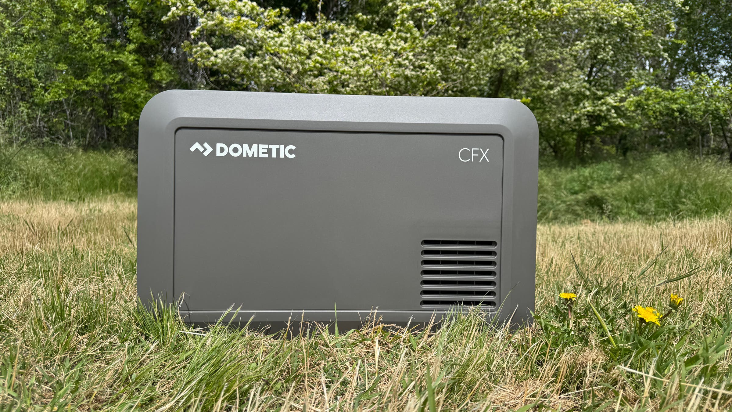 Dometic CFX5 35 best electric cooler