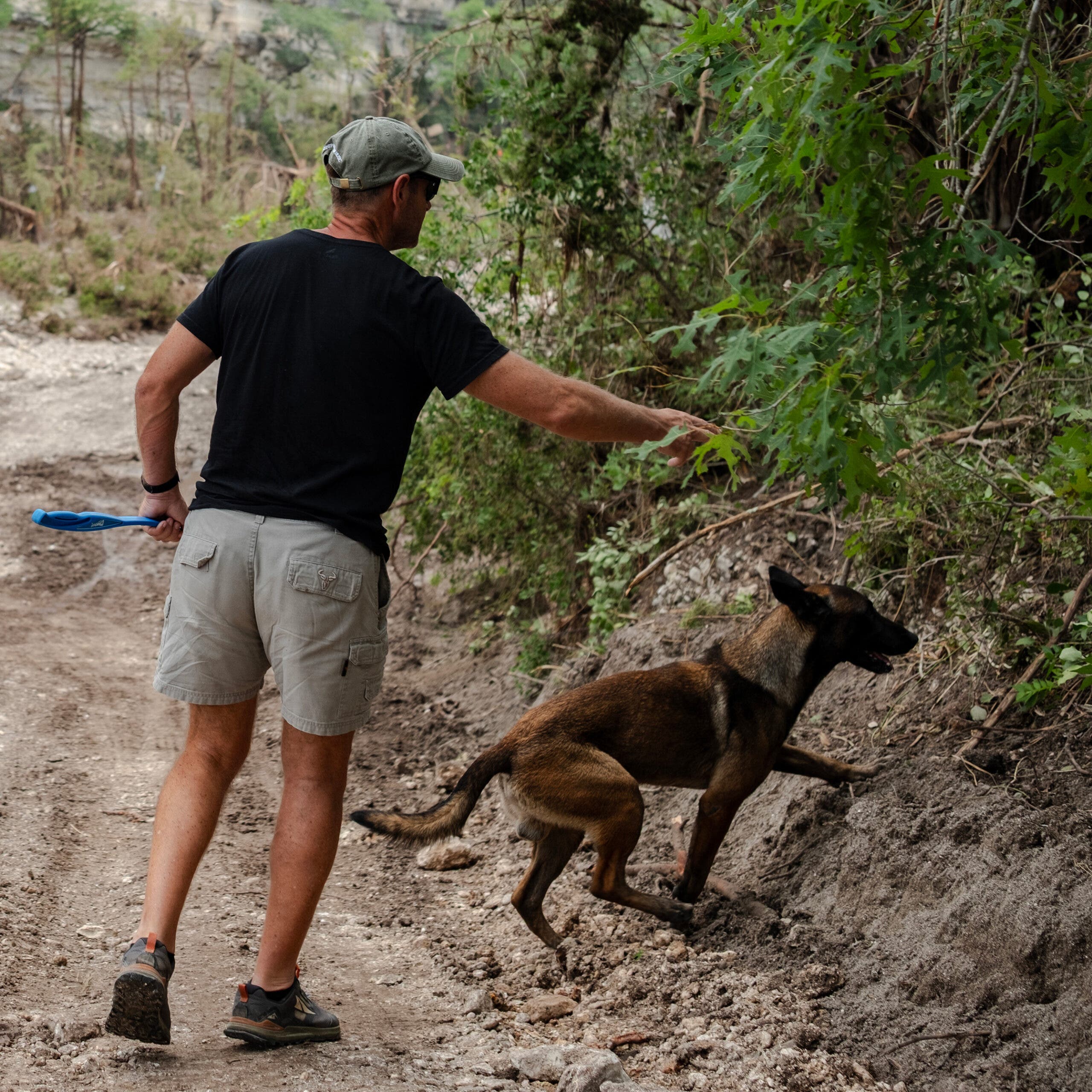 A recovery dog searches the banks of the Guadalupe River for human remains