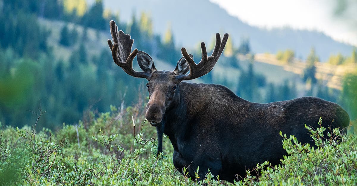 Breckenridge Tourism Office