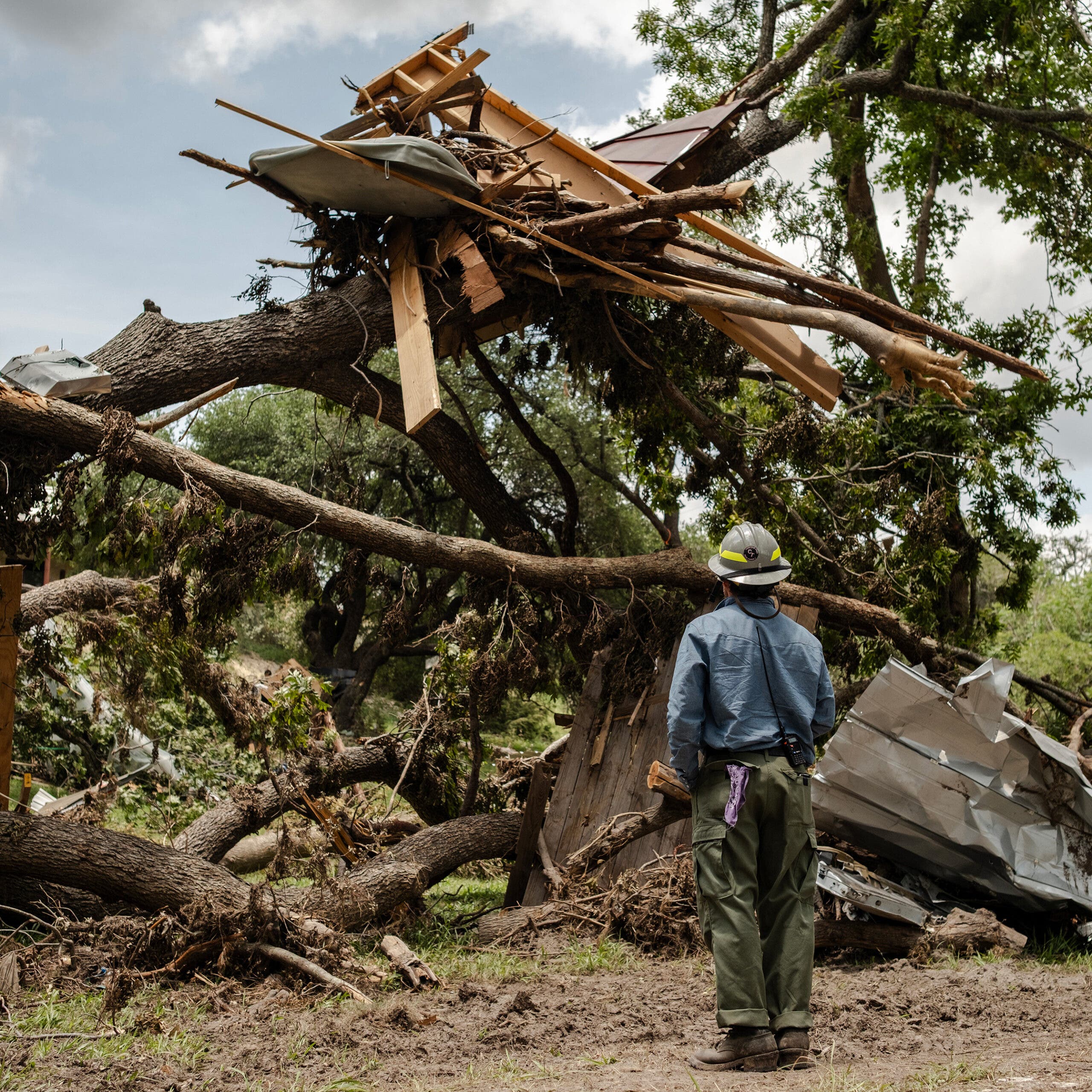 Flood debris cling to the top of a tree in Texas