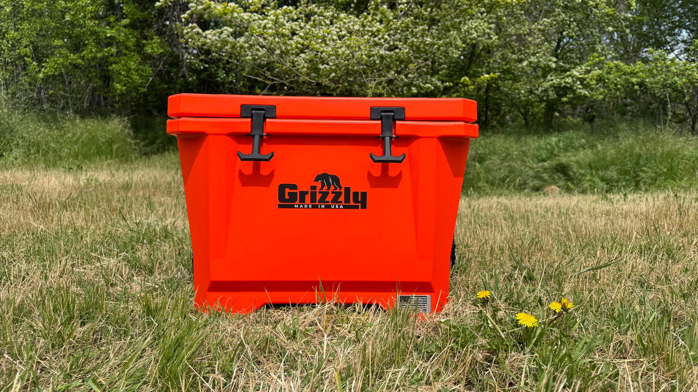 Grizzly Scout 40 best rolling cooler