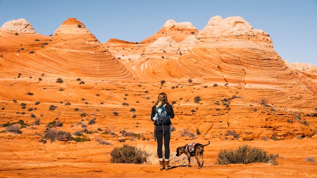 A New Map Grades How Your Lawmakers Voted on National Parks and Public Lands Issues