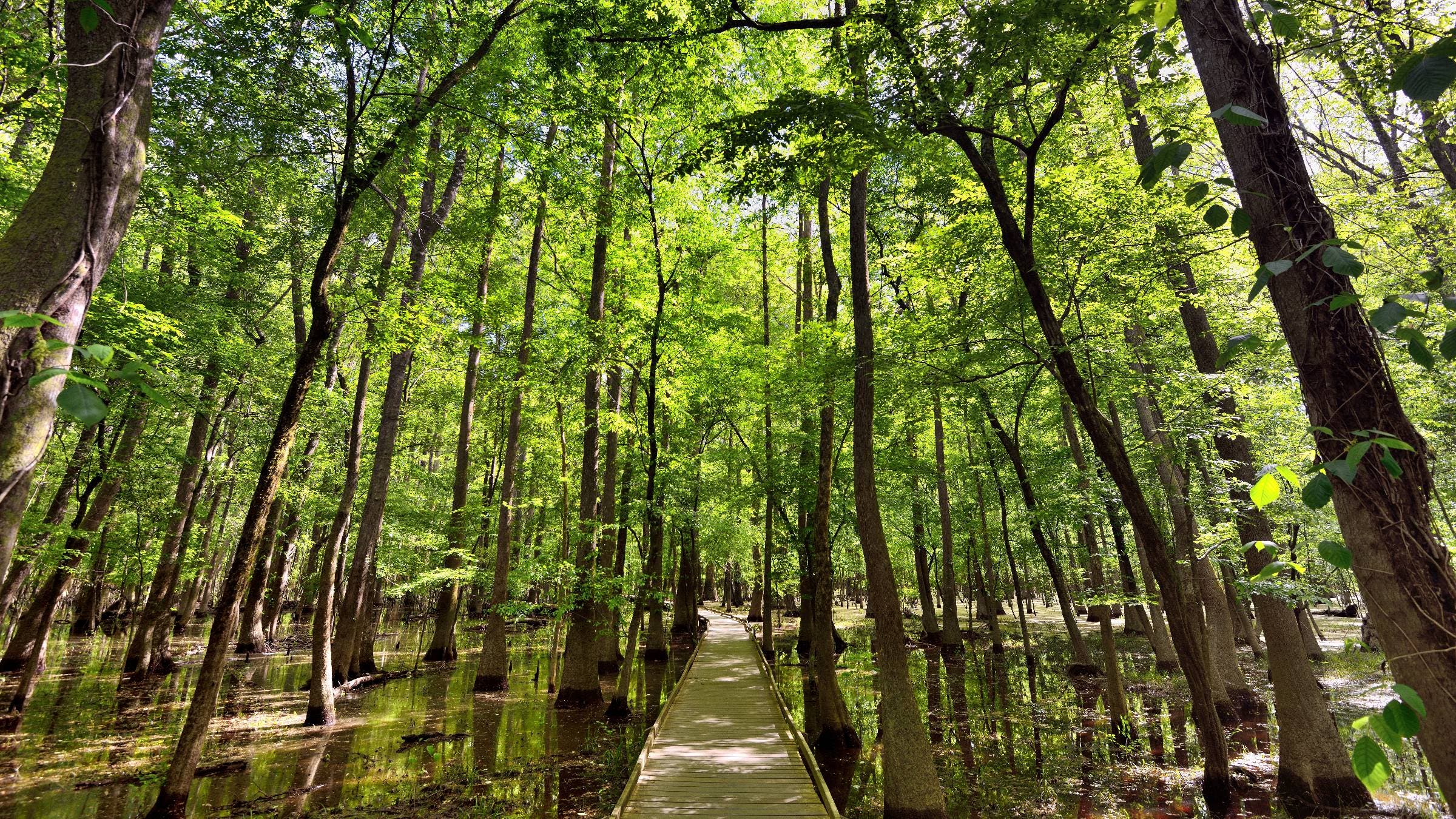 Go Here, Not There: 5 Less-Crowded Alternatives to the Most Popular National Parks