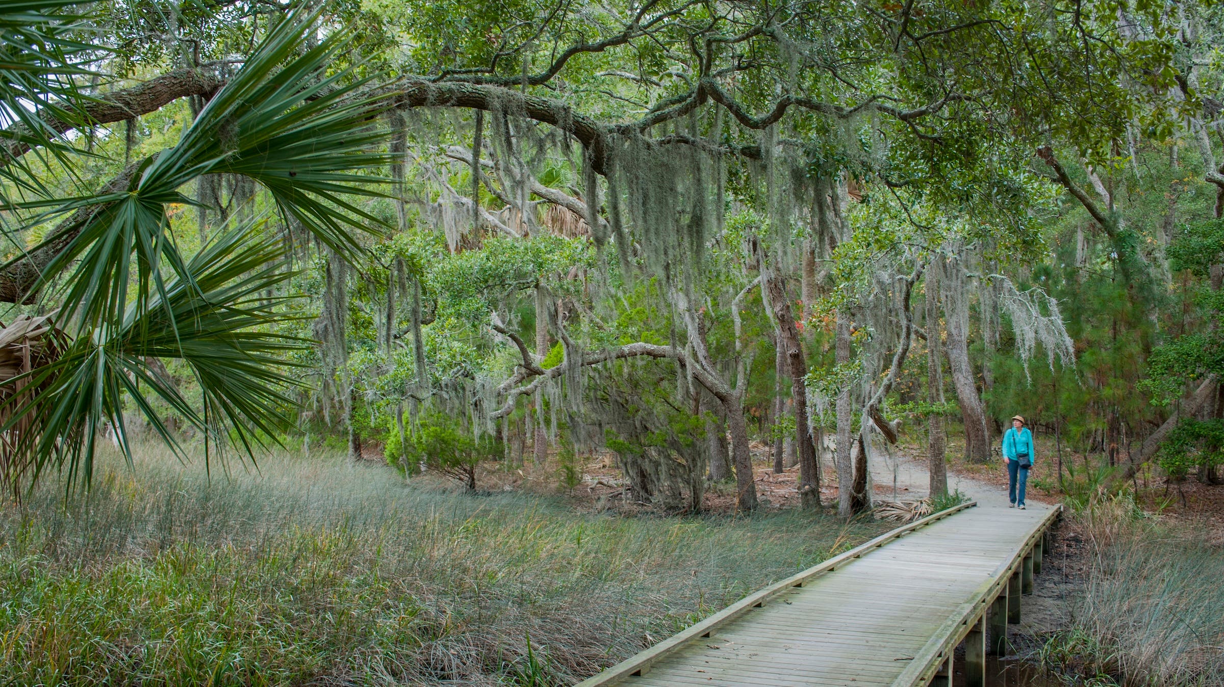 These States Are Going to Have the Worst Mosquito Problems This Year