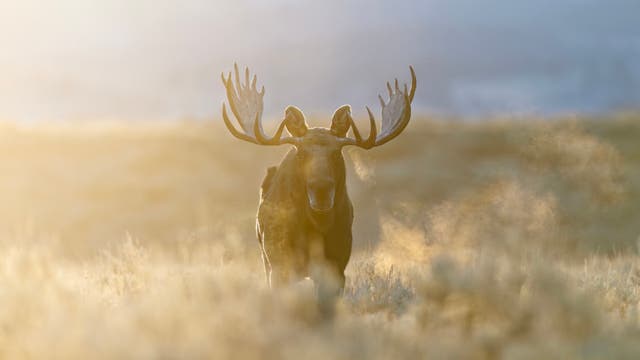 The Feds Are Lifting Hunting Bans at 55 National Park Sites. We Found Out Which Ones.