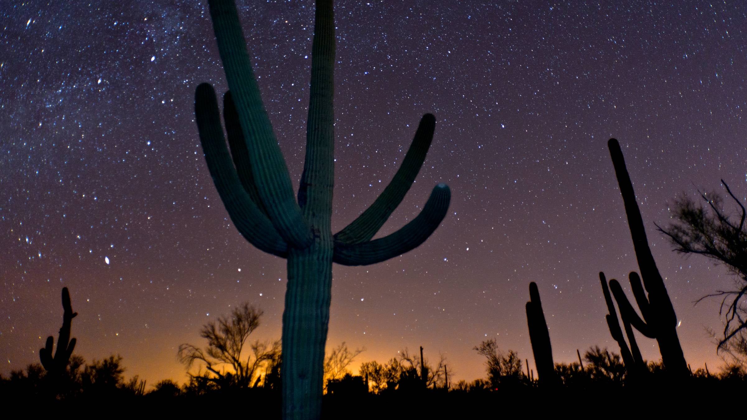 Arizona’s Organ Pipe Cactus National Monument Earns Dark Sky Status