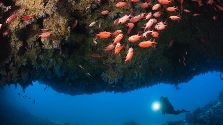 A scuba diver explores a cave, North Male Atoll, Maldives.