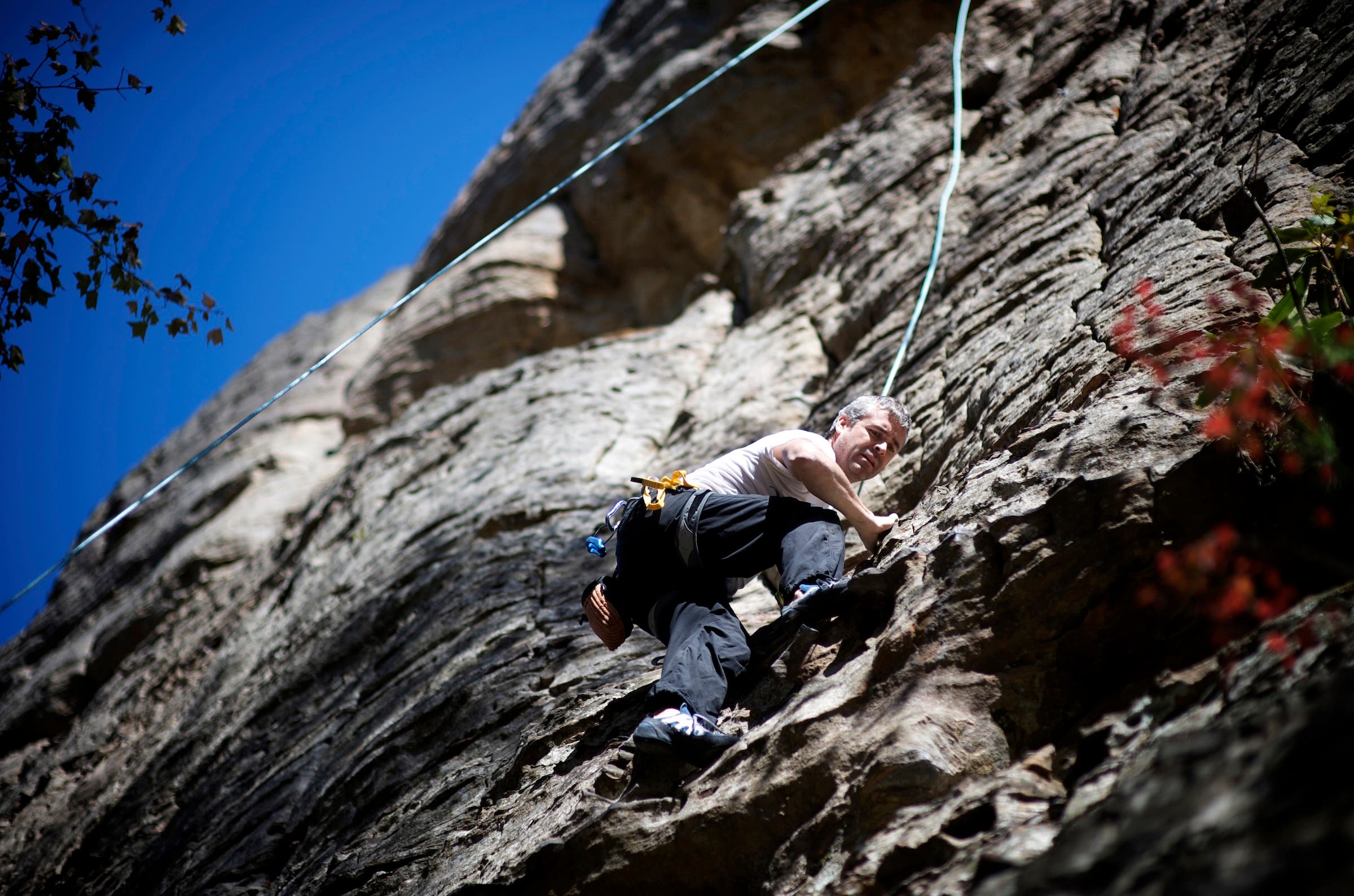 A male rock climber climbs a limestone rock face in the Red River Gorge, Kentucky