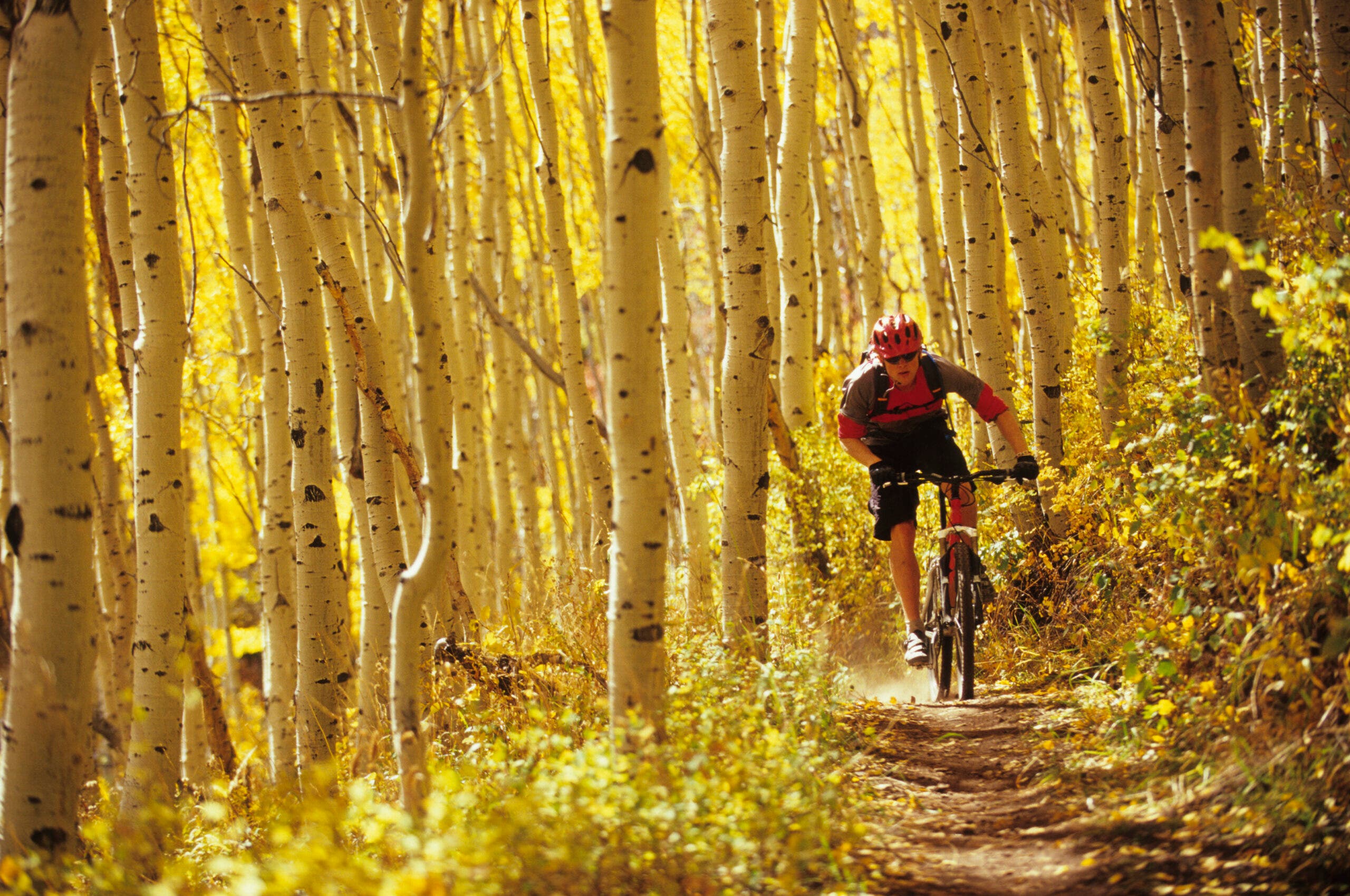 Man fall mountain biking in Park City, Utah.