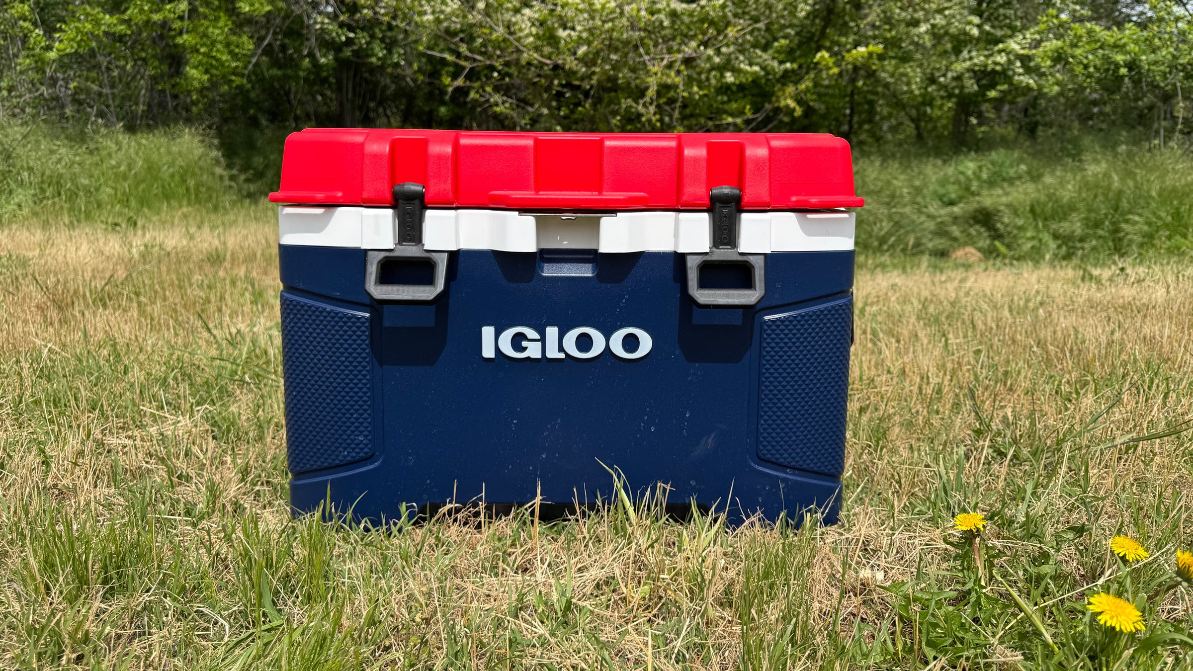 Igloo Trailmate 50 Qt best budget cooler