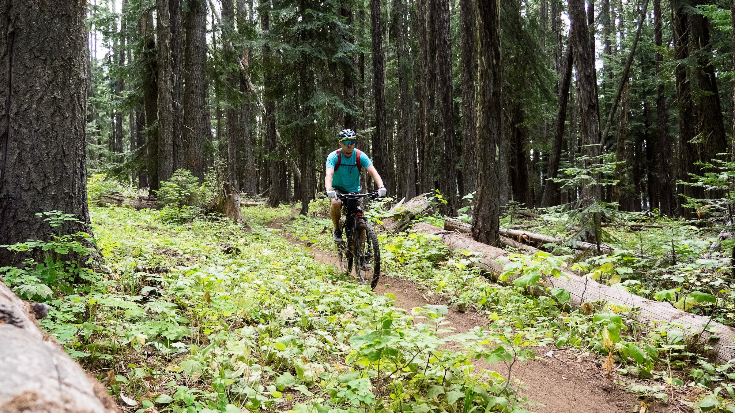 The author on the Umatilla Rim Trail in the Blue Mountains